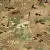 Multicam