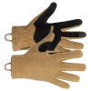 Coyote Brown